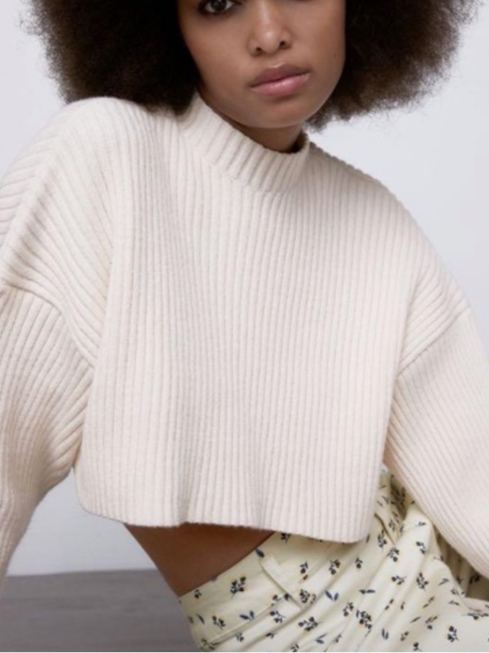 Zara Cream Ribbed Mock Neck Cropped Sweater